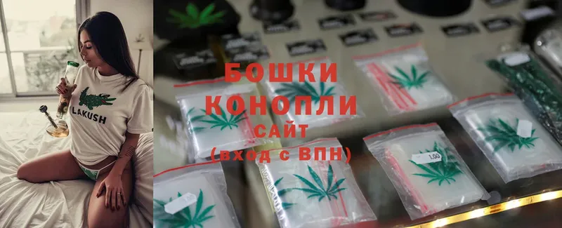 Бошки марихуана SATIVA & INDICA  Вышний Волочёк 